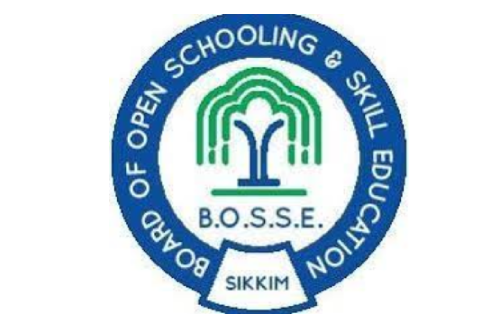 BOSSE Board